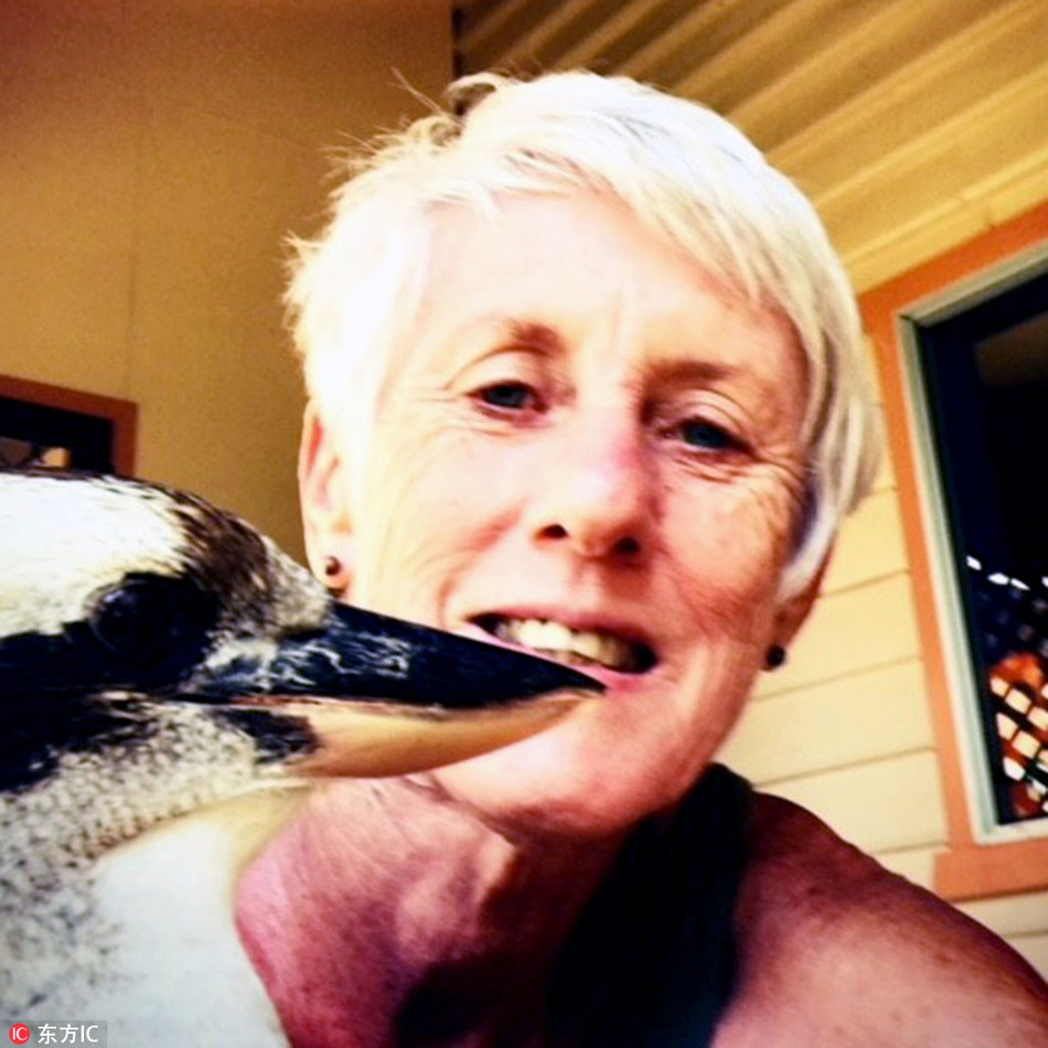 Chứng kiến toàn bộ quá trình, cô Helen cho biết, nếu không phải vì sợ con chim hiểu lầm, cô thực sự muốn lấy chiếc kéo cắt con rắn ra làm nhiều mảnh nhỏ để giúp con chim.