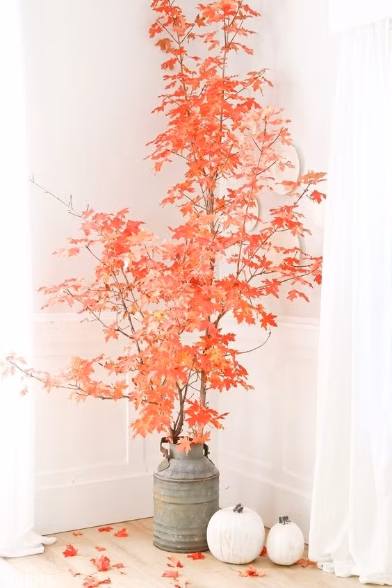 Cành phong đỏ bỗng chốc trở thành vật trang trí bắt mắt trong ngôi nhà với màu trắng làm chủ đạo.