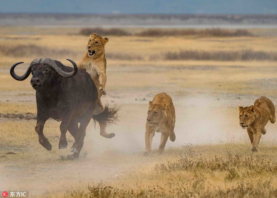 Day con di san, su tu cai muoi mat vi dieu bat ngo-Hinh-3