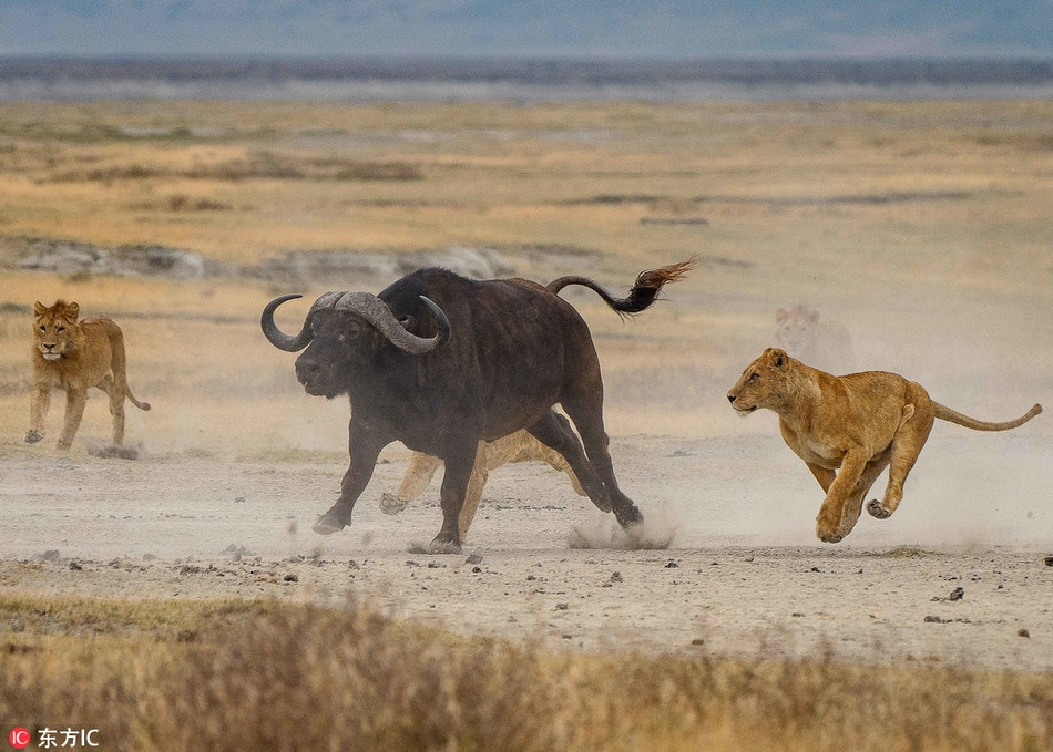 Day con di san, su tu cai muoi mat vi dieu bat ngo-Hinh-2