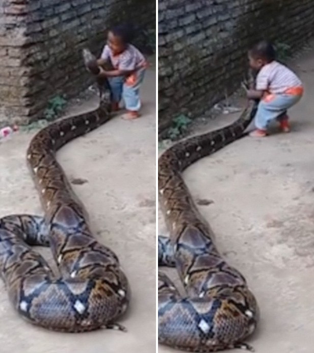 Ron nguoi tran khong lo siet chat be trai, nhung choang vang hon khi thay...-Hinh-3