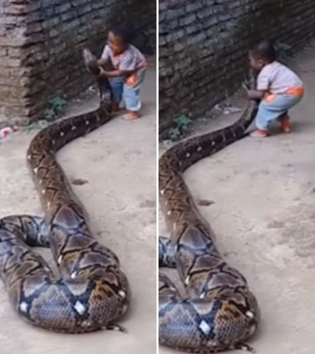 Ron nguoi tran khong lo siet chat be trai, nhung choang vang hon khi thay...-Hinh-3