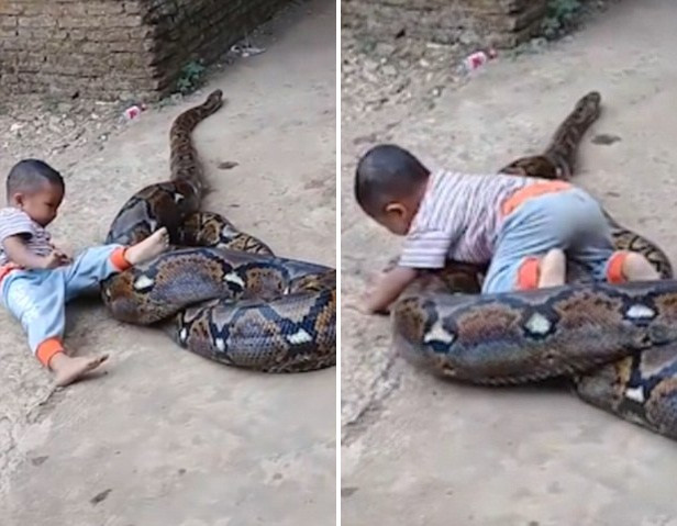 Ron nguoi tran khong lo siet chat be trai, nhung choang vang hon khi thay...-Hinh-2