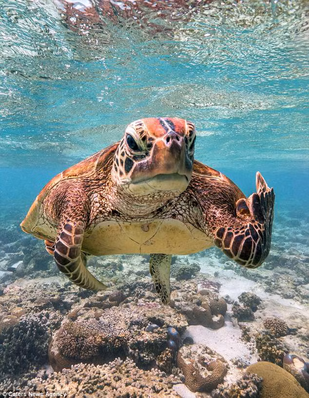 Rua bien cuc ngau, gio ngon tay thoi ve nhiep anh gia chi vi...