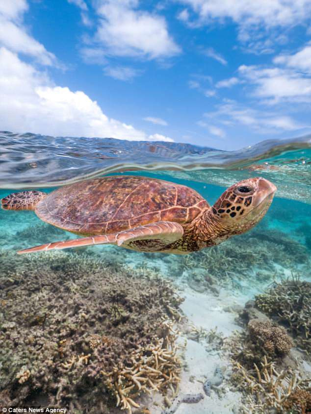 Rua bien cuc ngau, gio ngon tay thoi ve nhiep anh gia chi vi...-Hinh-2