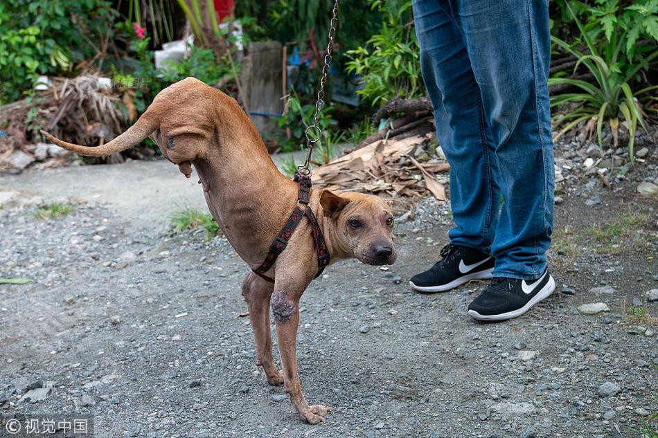Chu cho hai chan voi nghi luc nguoi phai ne phuc-Hinh-3