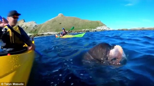 Hai cau nghich ngom, “tat” mat du khach bang con moi-Hinh-2