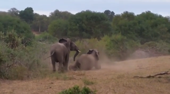 Voi duc khien voi cai noi gian, mat hung vi dang 