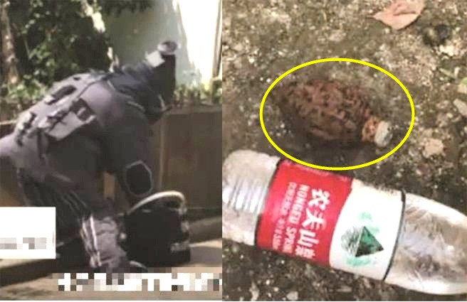 Tuong do choi nhat ve cho chau, chang ngo la thu kinh hoang...