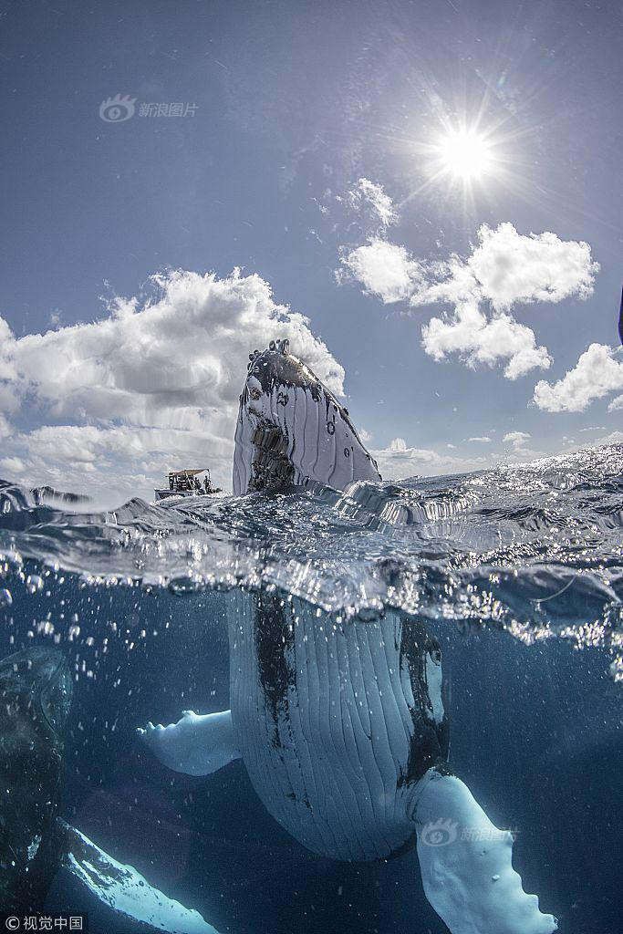 Thuyen nho be doi dau ca voi lung gu nhu phim kinh di-Hinh-4