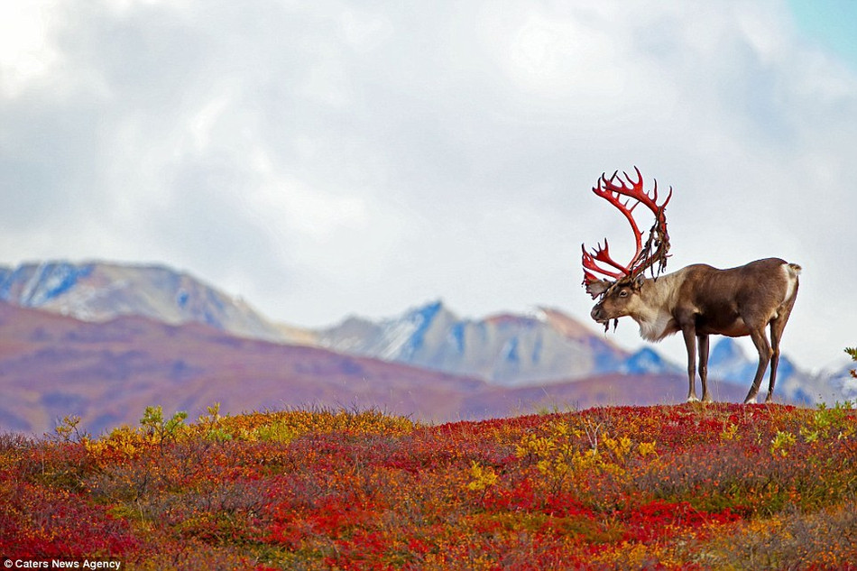 Tuan loc khien con nguoi “het hon” voi bo dang dam mau