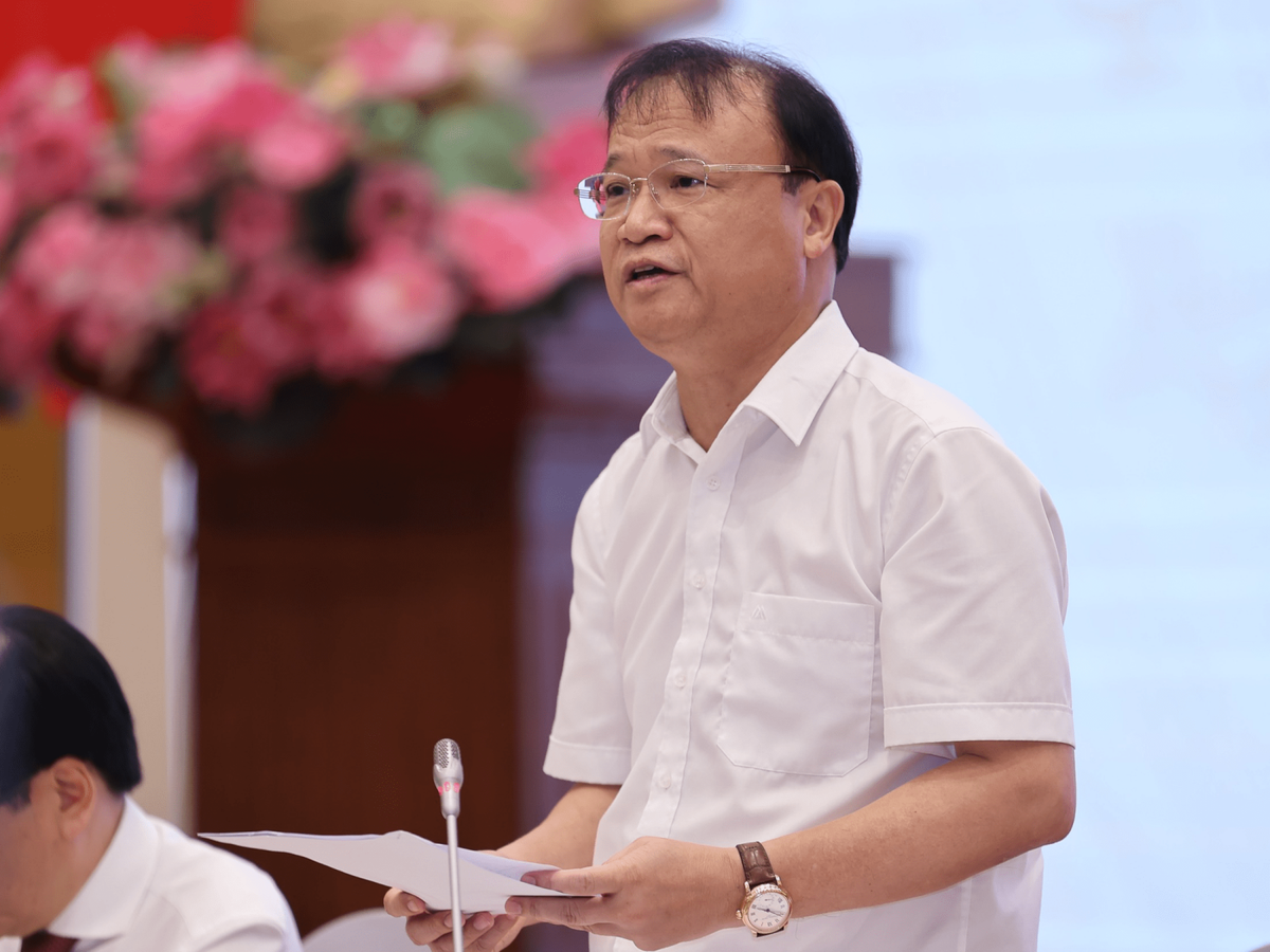 Thứ trưởng Đỗ Thắng Hải sinh năm 1963 tại tỉnh Bắc Ninh, có học vị thạc sĩ kinh tế. Ông Đỗ Thắng Hải được bổ nhiệm làm Thứ trưởng Bộ Công Thương từ tháng 1/2014. 