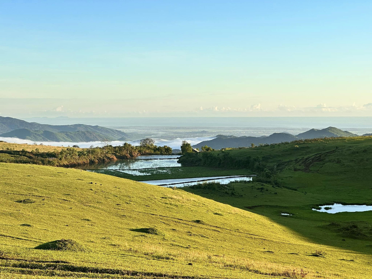 Đến thảo nguyên Bùi Hui, du khách không khỏi ấn tượng với những đồng cỏ trải dài tít tắp và những ngọn đồi xanh mướt nối tiếp nhau, xen giữa là những thung lũng đẹp mắt. Thời điểm lý tưởng để du lịch Bùi Hui là mùa hè và mùa thu. Tháng 3 là mùa ổi rừng kết trái, còn từ tháng 5 đến tháng 9 là mùa hoa sim nở (Ảnh: Nguyễn Thanh Hòa) 