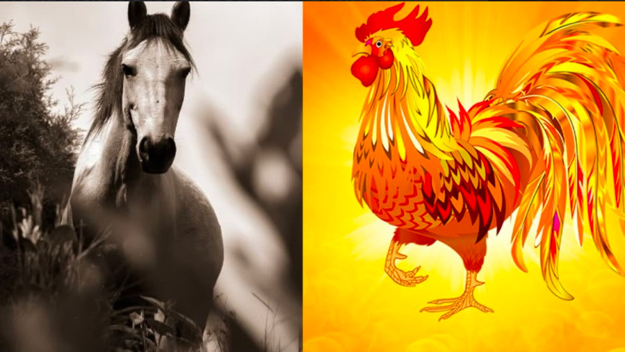 Tu nay den cuoi nam, 4 tuoi thang hoa ruc ro, tien nhieu nhu nuoc