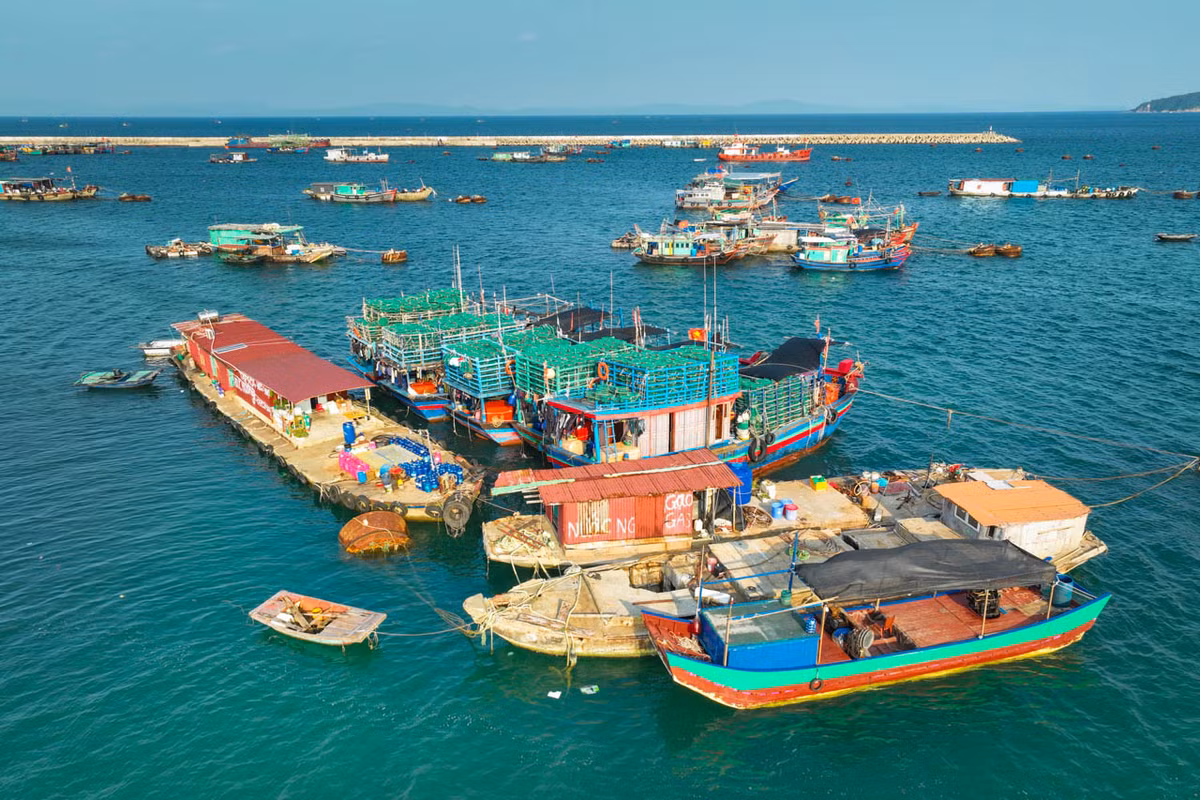Huyện đảo này hướng tới mục tiêu tăng trưởng xanh và bền vững, đảm bảo hài hòa giữa tăng trưởng kinh tế với bảo tồn đa dạng sinh học, bảo vệ môi trường; giữ vững mục tiêu 5 không “không còn hộ nghèo; không người ăn xin, không ma túy, không trộm cắp, không tệ nạn xã hội”. 
