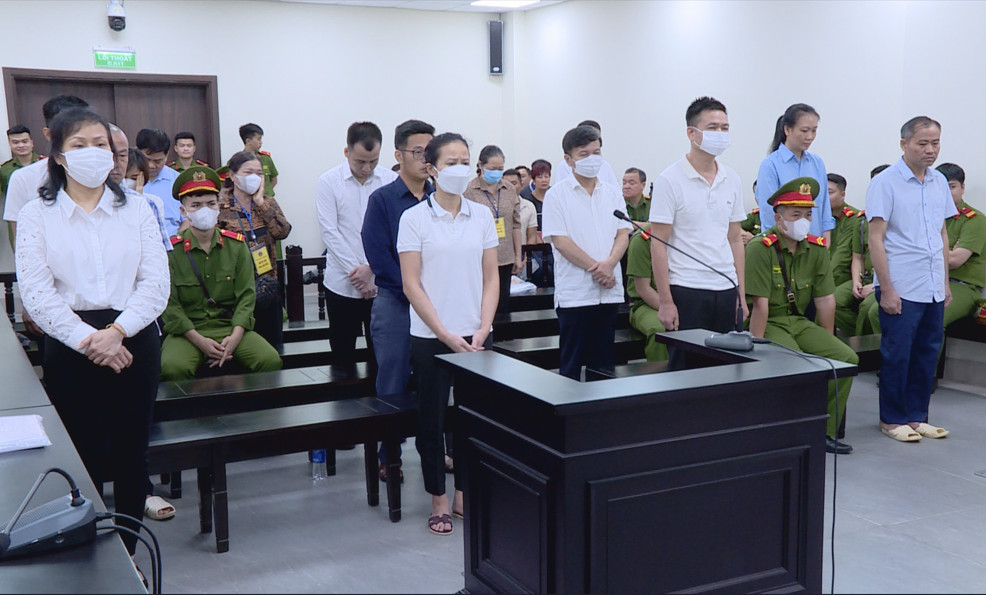 Theo bản án sơ thẩm, việc lựa chọn nhà thầu thực hiện trồng mới, thay thế, bổ sung cây xanh phải áp dụng theo hình thức đấu thầu. Tuy nhiên, giai đoạn năm 2016, với động cơ cá nhân, ông Nguyễn Đức Chung đã chỉ đạo tạm dừng toàn bộ việc đấu thầu, chuyển sang đặt hàng theo từng quý. Ông Chung chỉ đạo miệng Giám đốc Sở Xây dựng triển khai cho cấp dưới tại Sở Xây dựng đặt hàng dịch vụ cây xanh từ Công ty Sinh Thái Xanh và Công ty Cây xanh. Với mục đích "rút ruột" ngân sách, các bị cáo tại 2 đơn vị này đã câu kết với đơn vị cung cấp cây để nâng khống giá đầu vào, gây thiệt hại ngân sách hơn 34 tỷ đồng. 