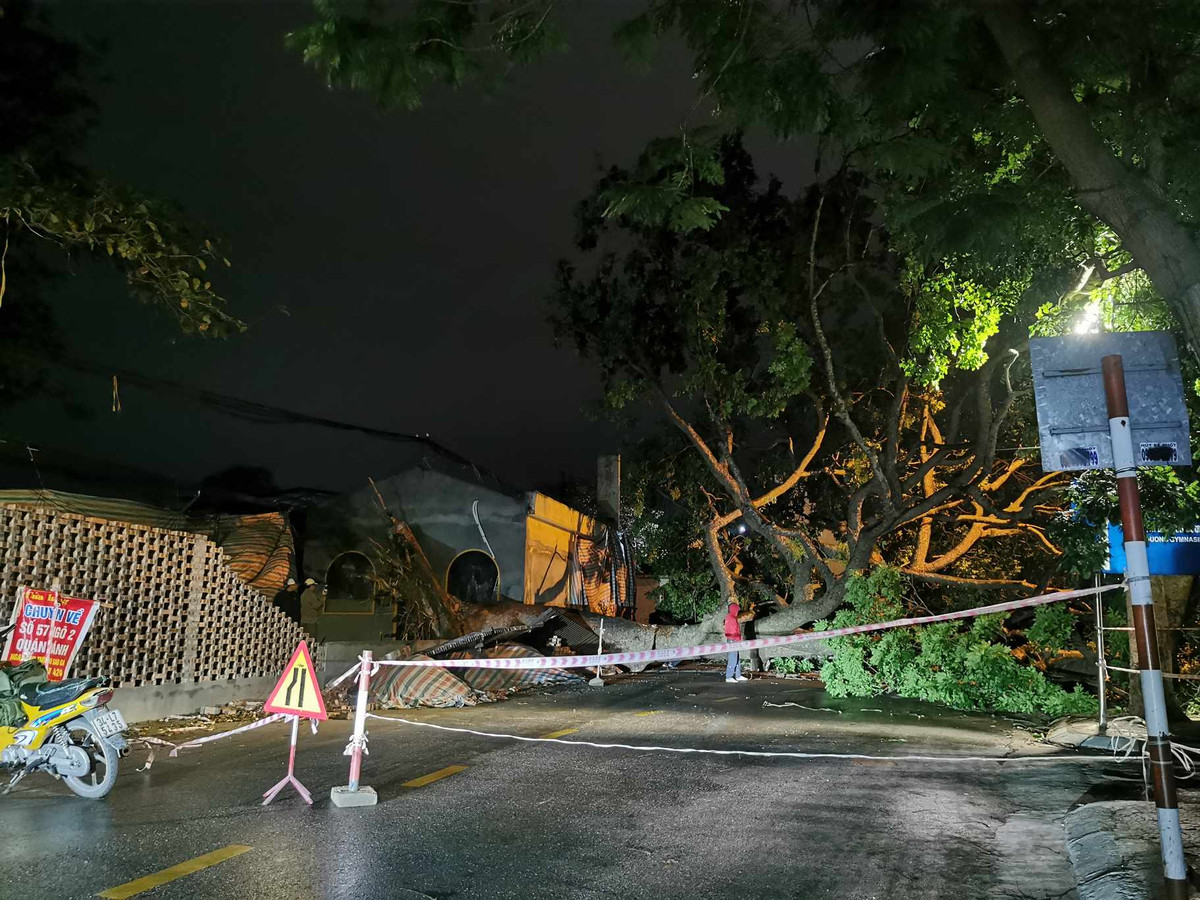 Lực lượng chức năng sau đó đã có mặt tại khu vực cây đổ, tiến hành căng dây, phong tỏa quanh khu vực cây đổ để thực hiện công tác khắc phục.