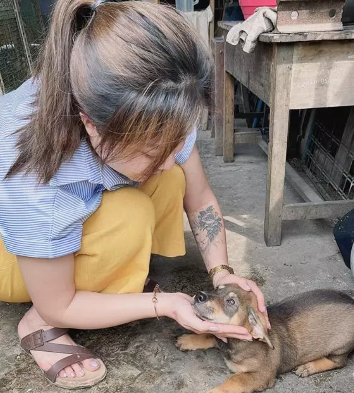 Số khác đặt nghi vấn, hình xăm sư tử ấy chỉ là miếng dán hoặc cũng có thể nữ MC đang trong quá trình "xóa sổ" nó nên mới để lại "vết lạ".