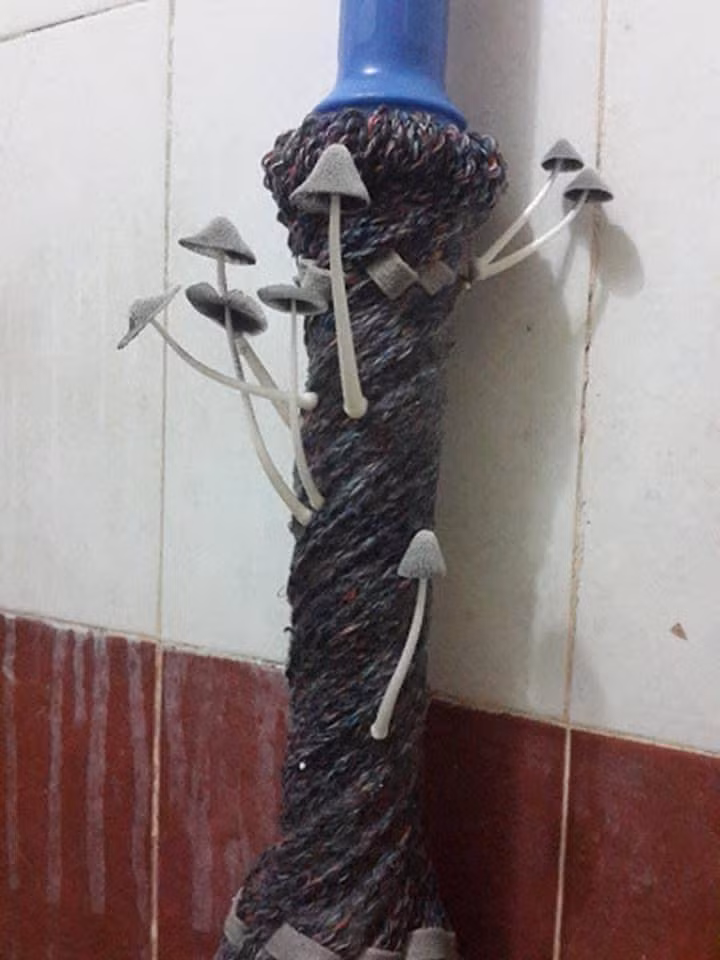 Qua loạt hình ảnh có thể thấy những căn phòng trọ này toàn bừa bộn rác, mọi vật bốc mùi ẩm mốc, vô số giòi bọ tấn công hay gián, chuột trú ẩn phá nát mọi đồ đạc...