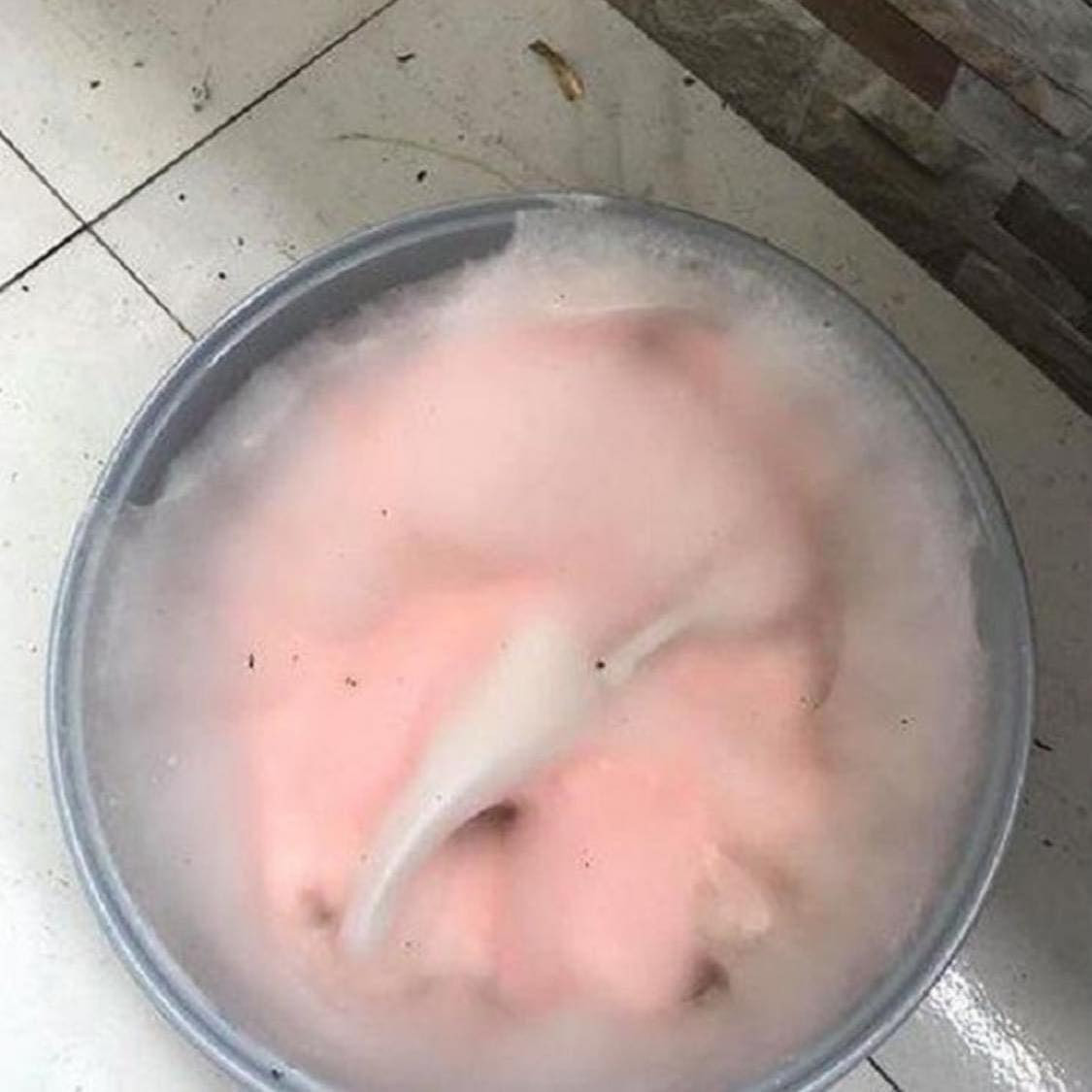 Kết thúc nghỉ hè, các bạn sinh viên quay lại phòng trọ để chuẩn bị bắt đầu năm học mới. Lúc này, khi dọn dẹp phòng ốc nhiều người phải "tá hỏa" khi phát hiện những chiếc nồi cơm điện lên mốc xanh, đỏ, vàng, trắng như kẹo bông có đủ sắc màu, bốc mùi chua và ôi thiu đến mức kinh hoàng.