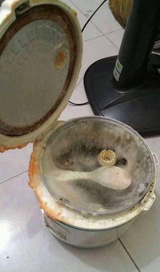 Nhìn cảnh tượng kinh hoàng bên trong phòng trọ này khiến ai cũng phải "rớt nước mắt" cùng nhiều cô cậu sinh viên sau 3 tháng nghỉ hè.