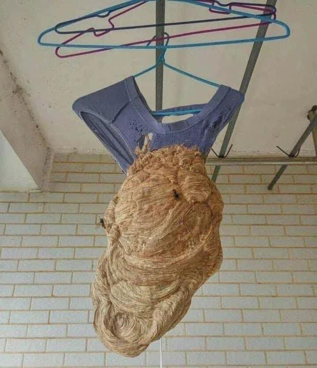 Khi về quê, vì thu dọn đồ đạc quá khẩn trương, nhiều bạn đã bỏ quên mất những tiểu tiết có thể trở thành mầm mống gây hậu quả nghiêm trọng về sau. Đó là nồi cơm thừa chưa rửa, quần áo chưa thu dọn hay đồ đạc vẫn còn ngổn ngang,..