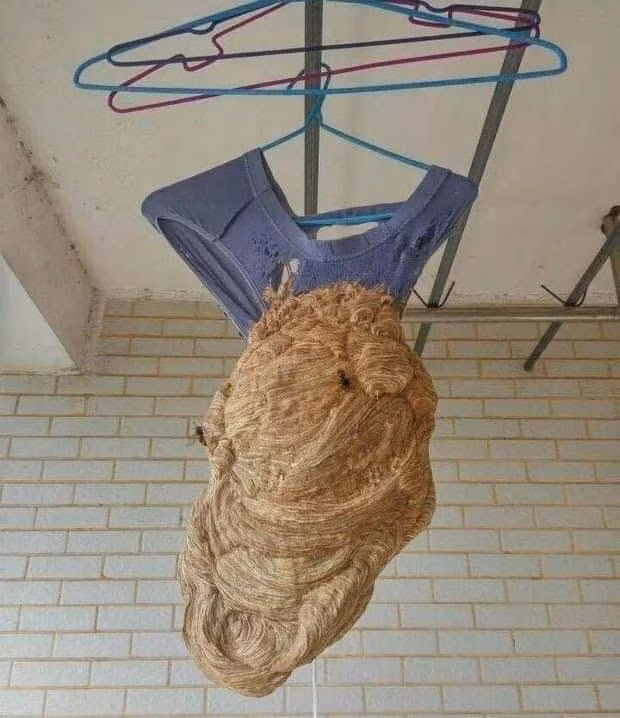 Khi về quê, vì thu dọn đồ đạc quá khẩn trương, nhiều bạn đã bỏ quên mất những tiểu tiết có thể trở thành mầm mống gây hậu quả nghiêm trọng về sau. Đó là nồi cơm thừa chưa rửa, quần áo chưa thu dọn hay đồ đạc vẫn còn ngổn ngang,..