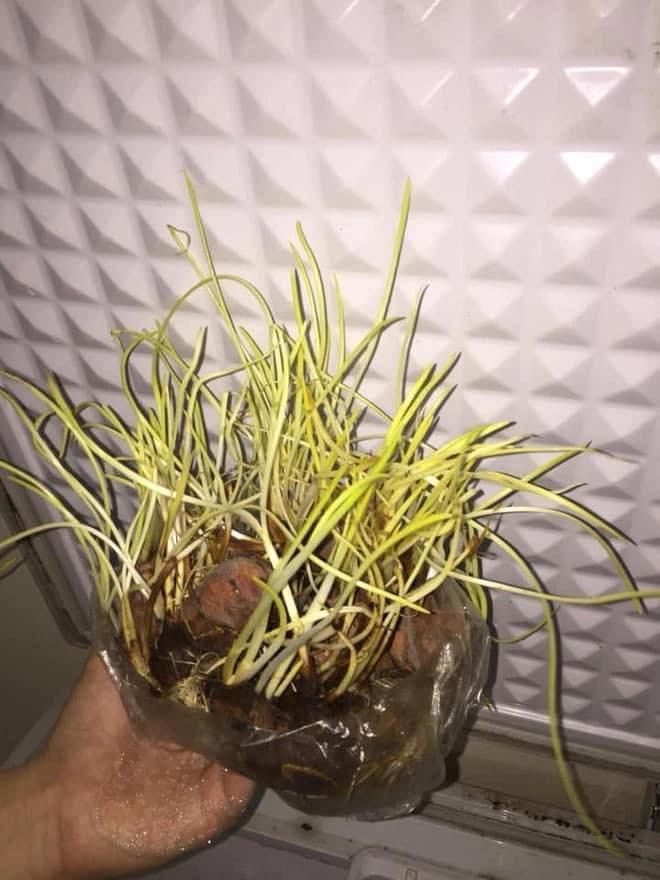 Tưởng rằng phòng trọ với diện tích nhỏ hẹp thì công cuộc dọn dẹp sẽ trở nên dễ dàng và nhanh chóng. Tuy nhiên ai cũng sẽ phải thay đổi suy nghĩ khi nhìn thấy những cảnh tượng này.