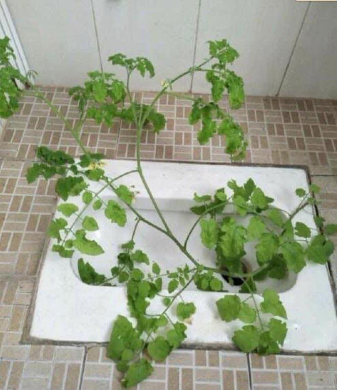 Một trong những nguyên nhân được đưa ra là các bạn sinh viên quá háo hức , mong muốn mau chóng thoát khỏi căn phòng trọ “bát quái” để về nhà với cha mẹ nên dẫn đến hậu quả hãi hùng như thế này.