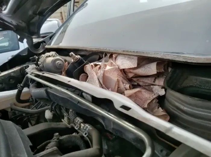 Cách đây khá lâu, trường hợp của một người đàn ông ở Thái Lan đã góp thêm một "tác phẩm" giấu quỹ đen bi hài nữa vào bộ sưu tập này.