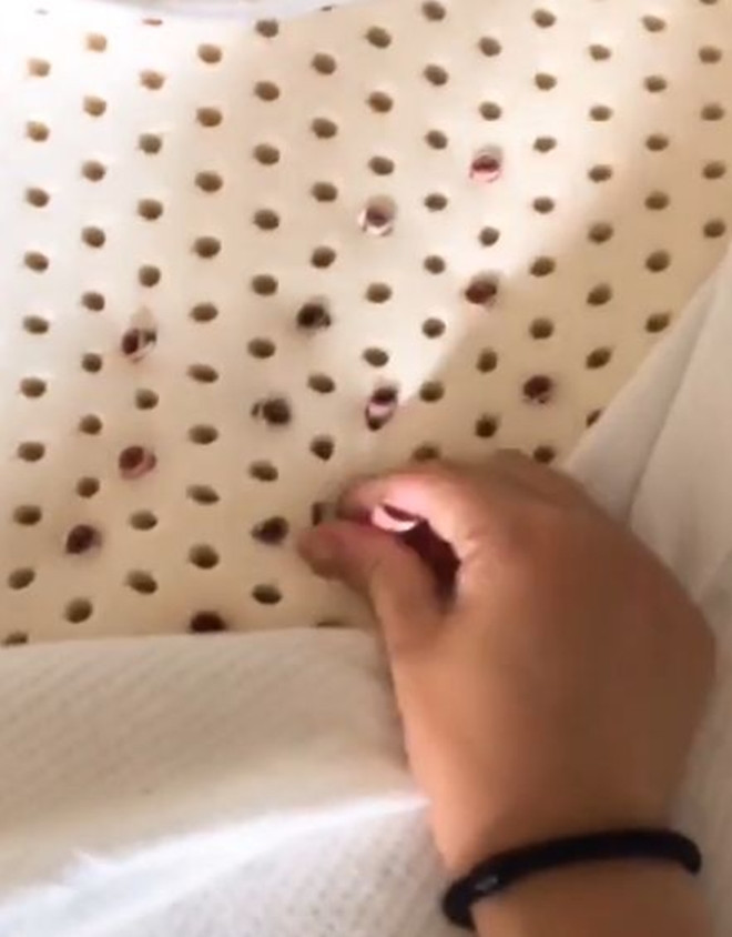 Tình huống có một không hai này đã thu hút sự chú ý và “mổ xẻ” phân tích đầy hài hước từ cư dân mạng.