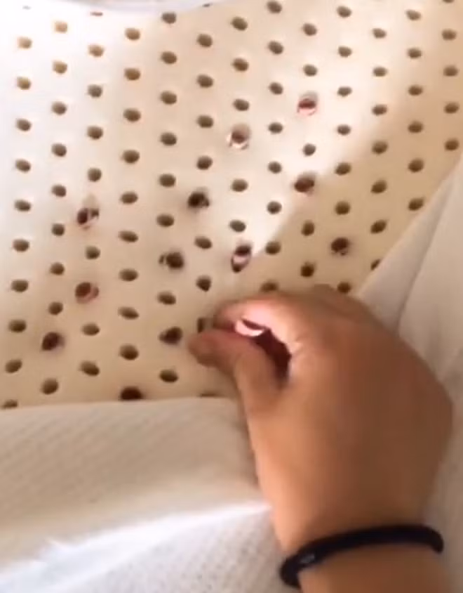 Tình huống có một không hai này đã thu hút sự chú ý và “mổ xẻ” phân tích đầy hài hước từ cư dân mạng.