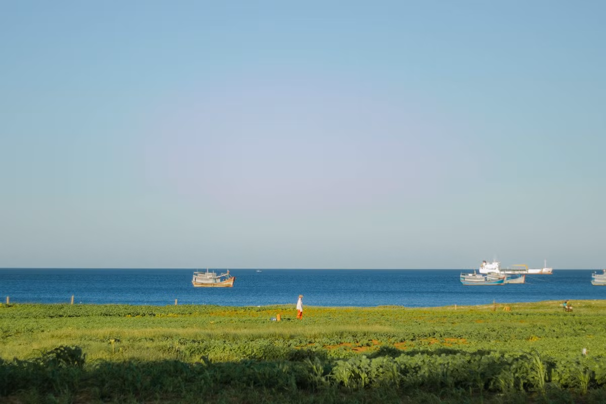 Chi phí dự kiến cho chuyến du lịch đảo Phú Qúy khoảng 3 triệu đến 5 triệu mỗi người. Ảnh: Trần Thu Quỳnh