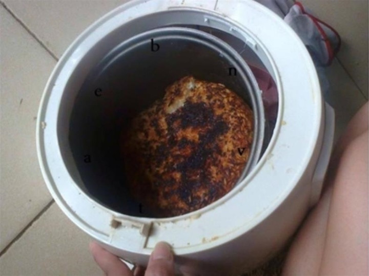 Nghe bảo khách đến thăm nhà hôm nay thích ăn cơm cháy.