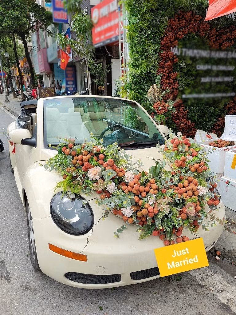 Như trước đó MXH từng thích thú với chiếc xe được kết bằng vải thiều vô cùng độc đáo và đẹp mắt. Ảnh: Hoàng Minh Hùng