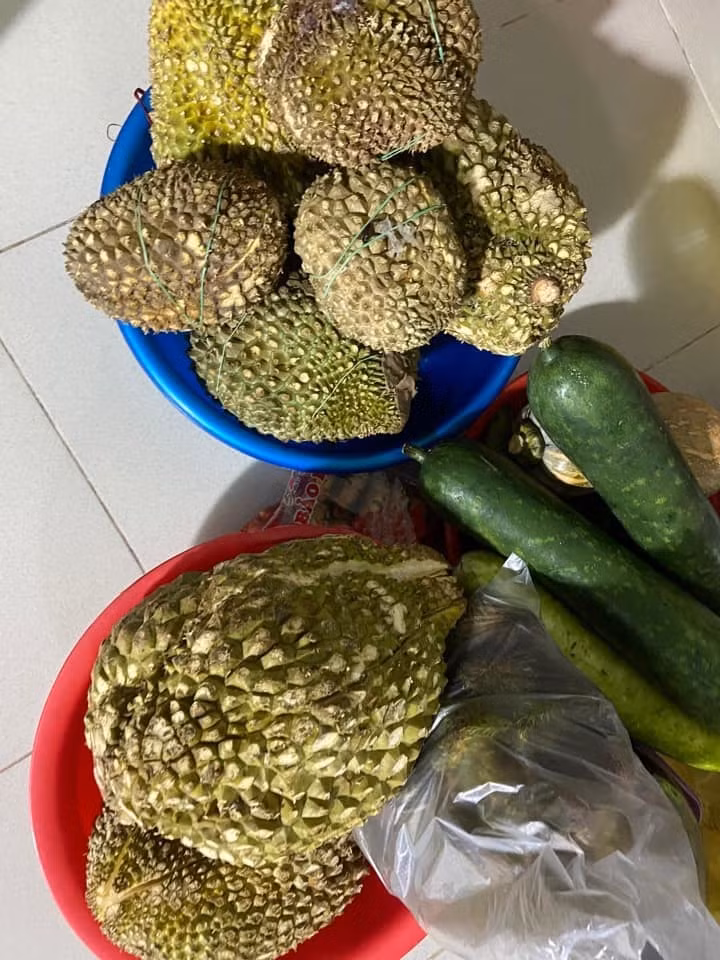 Đây vốn là hình ảnh quen thuộc của nhiều bạn sinh viên, nên nhanh chóng trở nên viral các trang mạng.