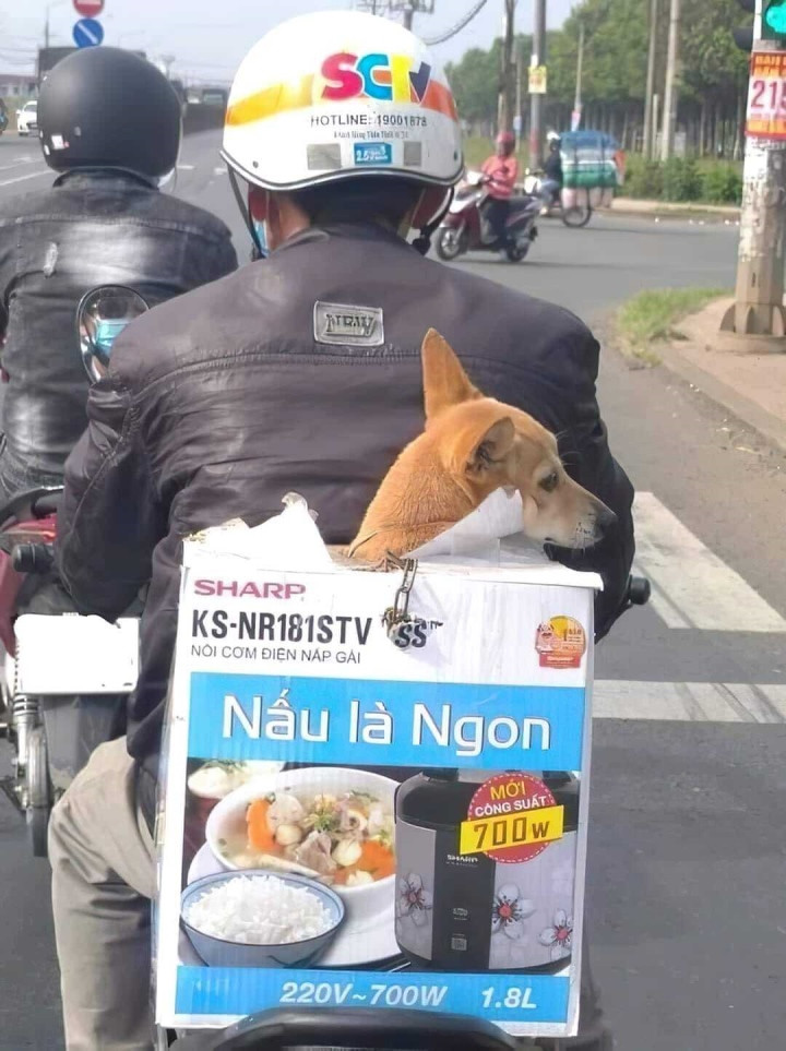 Sự trùng hợp hài hước này chắc hẳn làm người đi đường cười nghiêng ngả.