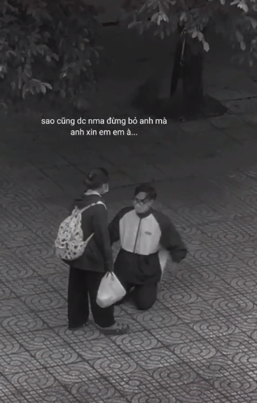 Không biết kết cục chàng trai có được tha thứ không, nhưng hành động quỳ gối xin lỗi người yêu của anh đã nhận phải nhiều ý kiến trái chiều. Ảnh: Chụp màn hình