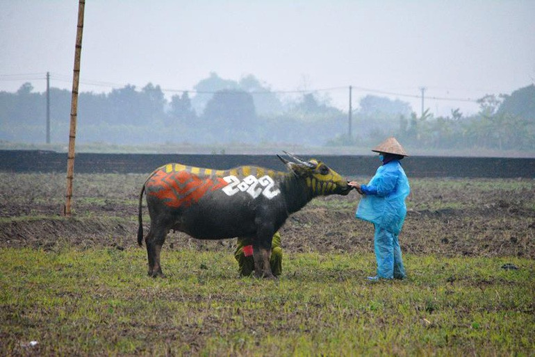 Trau hoa ho cho ngay le Tich dien nam Dan-Hinh-2