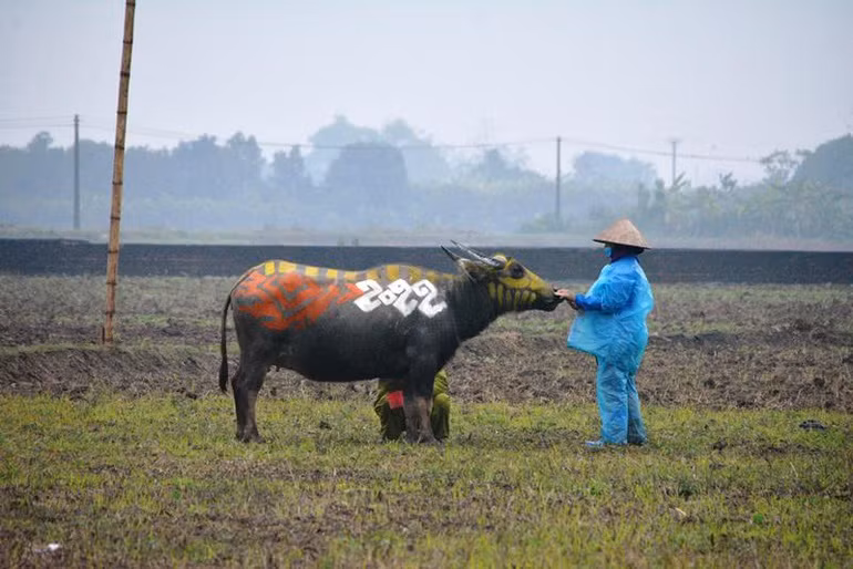 Trau hoa ho cho ngay le Tich dien nam Dan-Hinh-2