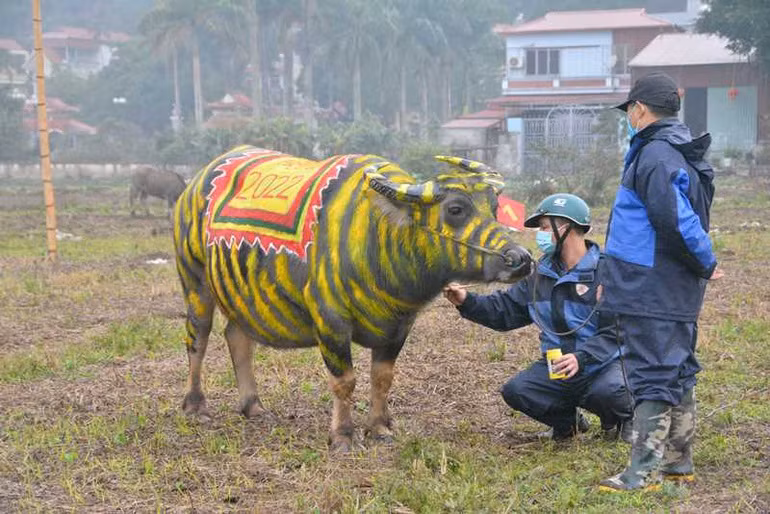 Trau hoa ho cho ngay le Tich dien nam Dan-Hinh-7