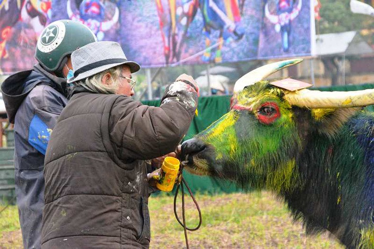 Trau hoa ho cho ngay le Tich dien nam Dan-Hinh-9