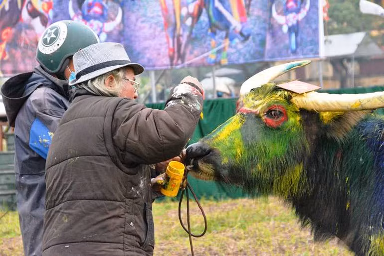 Trau hoa ho cho ngay le Tich dien nam Dan-Hinh-9