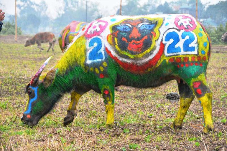 Trau hoa ho cho ngay le Tich dien nam Dan-Hinh-12