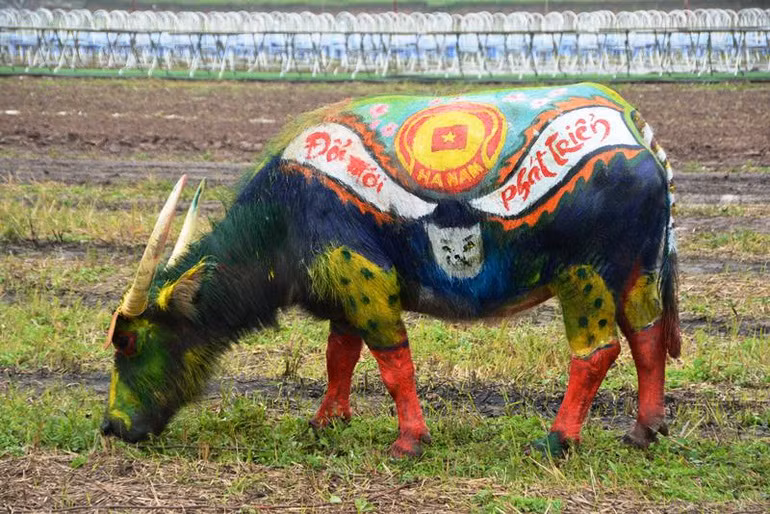 Trau hoa ho cho ngay le Tich dien nam Dan-Hinh-11