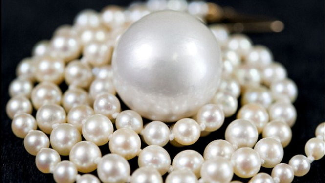 Trên thực tế, thời điểm tốt nhất để lấy trân châu từ các con trai là vào tháng 4 hàng năm. Khi ấy, thời tiết ở vùng Đông Bắc vẫn khá lạnh. Dù vậy, ngư dân vẫn phải lặn sâu xuống dưới nước mò trai để lấy ngọc dâng lên vua chúa và các thành viên hoàng tộc.