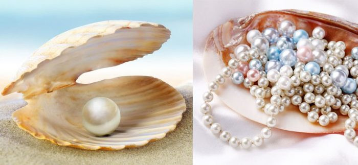 Bất chấp lệnh cấm của triều đình, Hòa Thân cả gan sưu tầm trân châu về làm của riêng. Thậm chí, tham quan này còn có một bộ sưu tập trân châu khổng lồ tại vương phủ của mình.