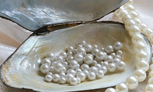 Theo một số sử liệu, khi hoàng đế Gia Khánh hạ lệnh khám xét phủ của Hòa Thân thì đã tìm thấy 230 chuỗi ngọc trai và 10 viên ngọc trai lớn.