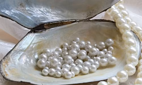 Theo một số sử liệu, khi hoàng đế Gia Khánh hạ lệnh khám xét phủ của Hòa Thân thì đã tìm thấy 230 chuỗi ngọc trai và 10 viên ngọc trai lớn.