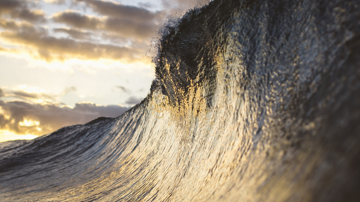 Vì vậy, tàu thuyền đi biển cũng không có thời gian để thay đổi lộ trình hoặc phản ứng kịp thời khi phát hiện sóng độc.